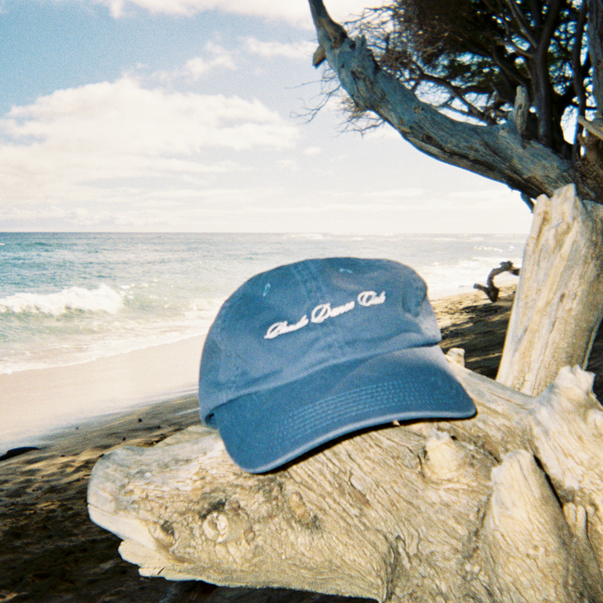 Panda Dance Club Dad Cap